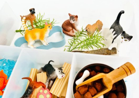 Cats & Dogs Play Dough Kit - Sparkling Toys World