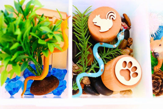 Forest Playdough Sensory Kit - Sparkling Toys World